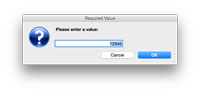 Long Integer Request